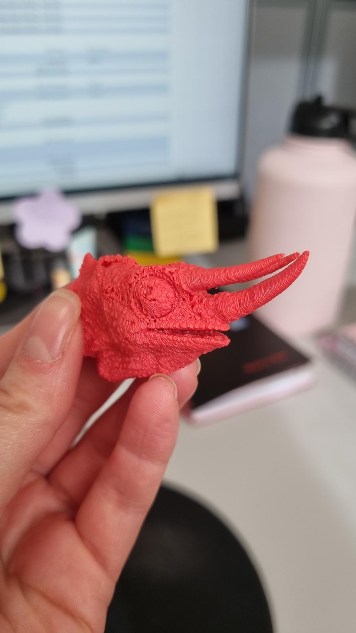 Image of a red 3D printed chameleon skull